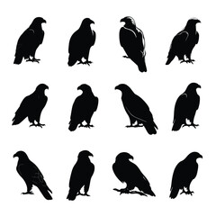 Obraz premium Golden eagle silhouette set vector illustration isolated on white background