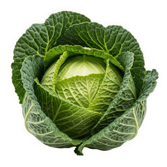 Fresh green cabbage head isolated on transparent background