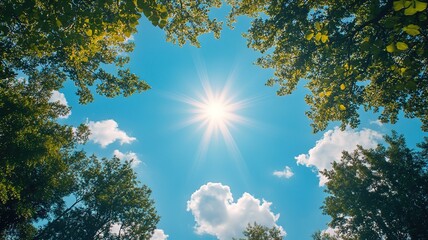 Sunlight Shining Through Dense Leaves with Blue Sky and White Clouds: Natural Light Filtering Through Green Foliage for Environmental Campaigns and Tourism Promotion
