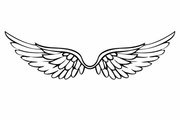 Fototapeta premium vector black wings