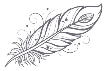 vector illustration of feather