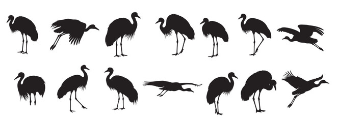 australian crane birds silhouette