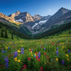Naklejka premium Mountain meadow bloom