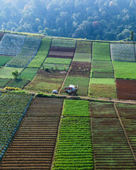 Aerial view of farmland fields with diverse crops, ideal for agriculture, eco tourism, and food production.