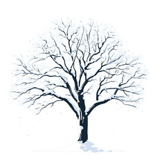 winter tree with snow