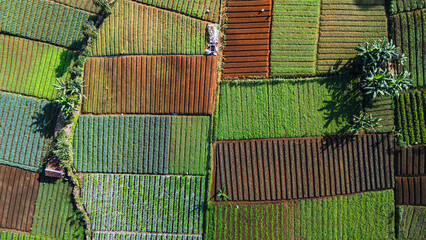 Agricultural fields in aerial patchwork view, perfect for farming and food production.