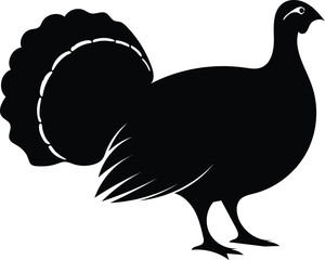 turkey silhouette vector, bird poultry illustration
