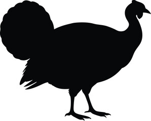 turkey thanksgiving farm icon vector, holiday bird symbol illustration
