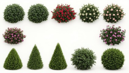Collection of diverse garden plants displayed against a plain white background.  Various shapes and colors of shrubs and flowering plants are presented in an organized grid format.