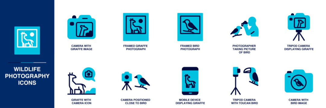 Wildlife Photography Blue Colored Outline Icon Set