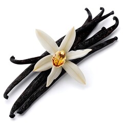 Vanilla pods and orchid flower