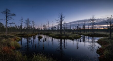 Obraz premium Panoramic scene of a spooky, desolate swampland during the blue hour with bare trees reflected in the still, dark water