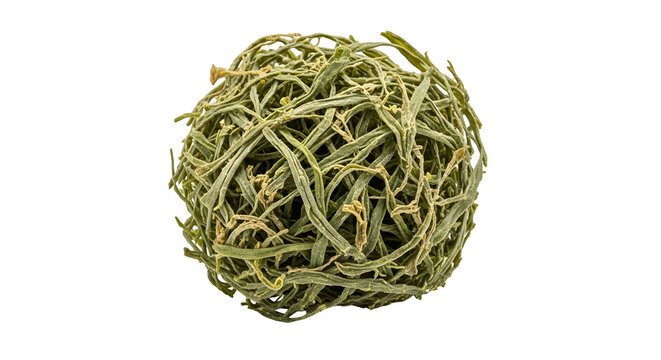 A tumbleweed, a dry, thorny plant that rolls across the ground, isolated on transparent background the tumbleweed is brown and green