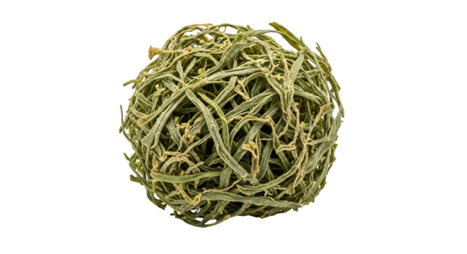 A tumbleweed, a dry, thorny plant that rolls across the ground, isolated on transparent background the tumbleweed is brown and green