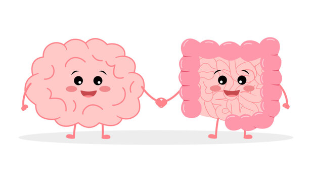 Connection of cute healthy happy brain and intestine gut characters. Concept Relation health of human brain and gut, second brain. Unity of mental and digestive. Vector illustration