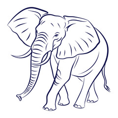 Elegant line art illustration of a majestic african elephant with large ears and tusks walking gracefully presented in a clean minimalist style on a white background