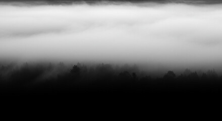 Fototapeta premium Smoke curls forming thought clouds over black background