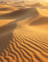 Golden dunes undulate in the desert sun, showcasing intricate patterns and subtle shadows.