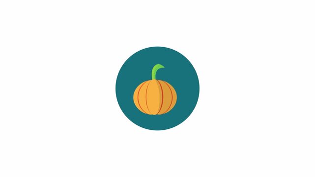 Minimalist Orange Pumpkin Icon Animation Loop.