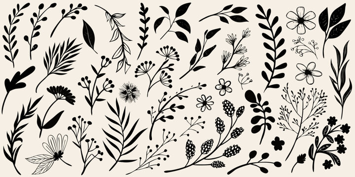 Collection of hand drawn black botanical elements and flowers on a cream background
