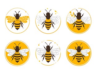Honeybee icons in various stages