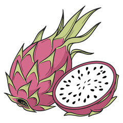 Fresh Dragon Fruit on Transparent White Background