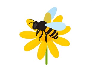 Honeybee on a flower