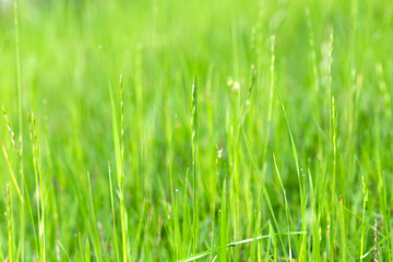 Scenic Outdoor Landscape With Sky And Mountains