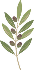 Simple Flat Olive Branch with Green Leaves and Black Fruits Illustration