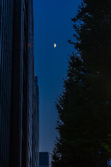 夕暮れ深く街角の街路樹とビルのシルエットを割る青い空と月20250831