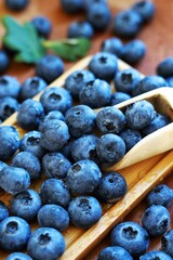Fresh Blueberries Closeup For E Commerce Product