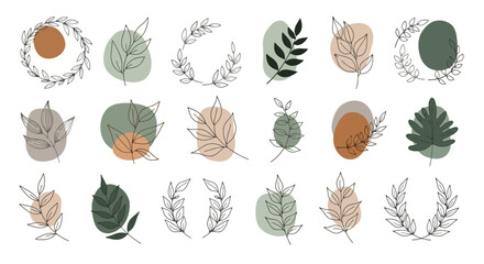 Elegant botanical illustrations featuring organic shapes and minimalist line art for modern branding and nature-inspired design projects.