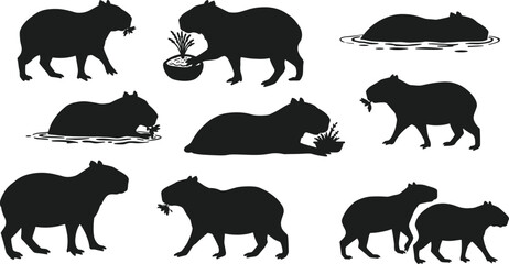 Capybara silhouettes vector set, wild rodent animals in different poses, eating, swimming, walking, black outline design, nature wildlife graphic