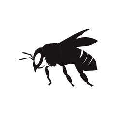 bee design icon vecktor