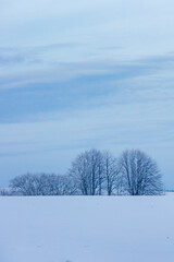 Winter Snow Landscape With Trees And Frost