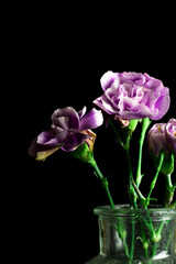 Scenic Outdoor Landscape With Sky And Mountains