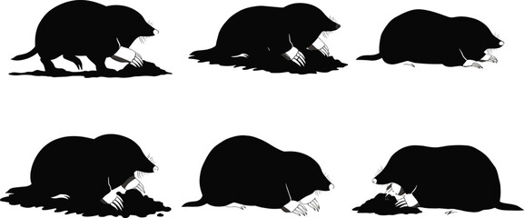 Mole wildlife illustration set, animal behavior poses, digging, crawling, resting, social interaction, nature silhouette, burrowing mammal vector art, animal sketch