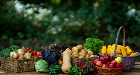 Rural farm scene with seasonal fruits and vegetables. Vegetables growing naturally in a green background. Autumn harvest of fresh fruits and vegetables in a wooden basket. Fresh seasonal harvest.