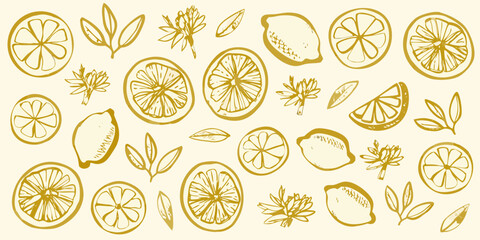 Hand drawn golden yellow lemon slices whole lemons and leaves pattern on beige background