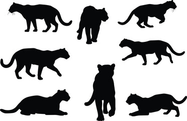 panther silhouette, big cat vector, wildlife clipart, flat vector, black panther