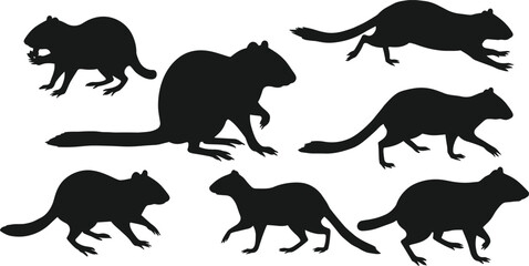 Rodent silhouettes collection, black animal shapes, vector wildlife illustration, rat beaver squirrel mouse outline, nature design, isolated mammals graphic