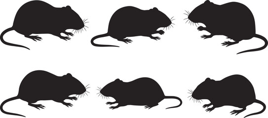 Rodent wildlife silhouette set, small mammal poses, mouse, rat, standing, feeding, running, nature vector art, animal sketch, zoology illustration