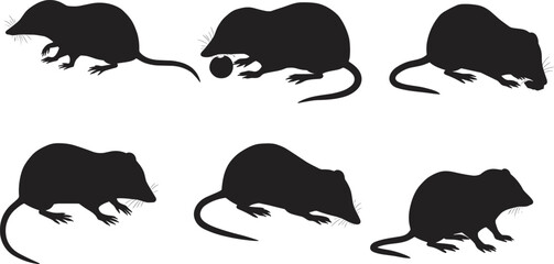Silhouette rats, silhouette mice, rodent vector, black animal shapes, pest control design