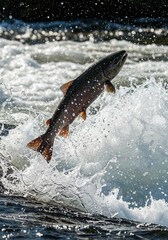 Fototapeta premium Salmon Leaping: A single salmon leaps powerfully from the churning water, capturing a moment of vibrant energy and determination, showcasing the raw beauty of nature in action.