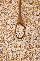 Nutritious Job's Tears Coix Grains Farm Produce