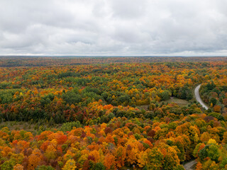 North Frontenac Ontario Canada Fall Colours