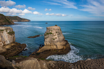 Muriwai Beach, Auckland, New Zealand