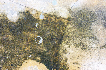 water drops on the wall