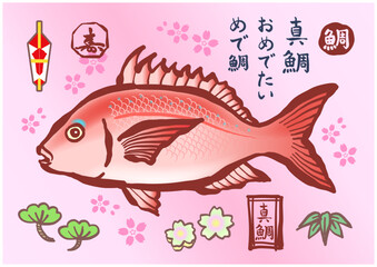 筆で描いた「鯛」のイラストとロゴのセット。様々な種類の「鯛／真鯛」の印、ロゴ、お祝いのイラストのセット。A set of brush-drawn illustrations and logos of "Tai" (sea bream). A set of various types of "Tai" (red sea bream) signs and logos.