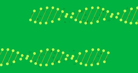 Animation of dna strands on transparent background - Powered by Adobe